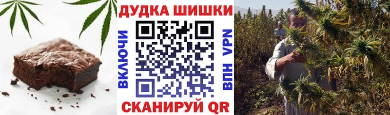 магазин    hydra сайт  Canna-Cookies конопля  Новодвинск 