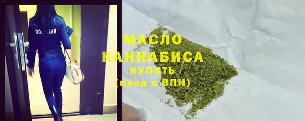 гидра Гусиноозёрск