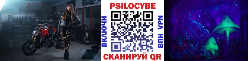 продажа наркотиков  Новодвинск  Псилоцибиновые грибы ЛСД 